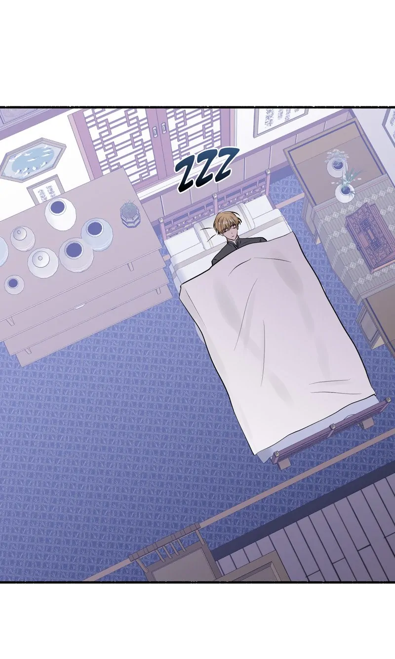 49862542 800 1333 102758